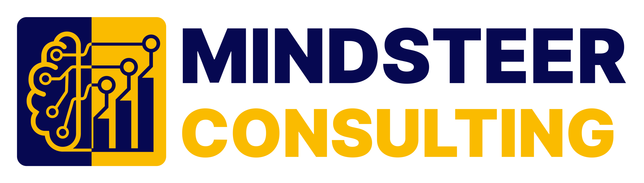Mindsteer Consulting